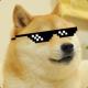 Dogger Dogger