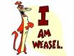 iamweasel iamweasel