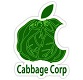 cabbage cabbage