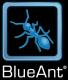 blueant blueant