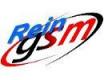 reingsm reingsm