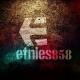 Etnies858 Etnies858